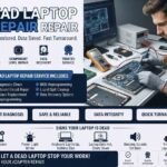 Dead Laptop Repair